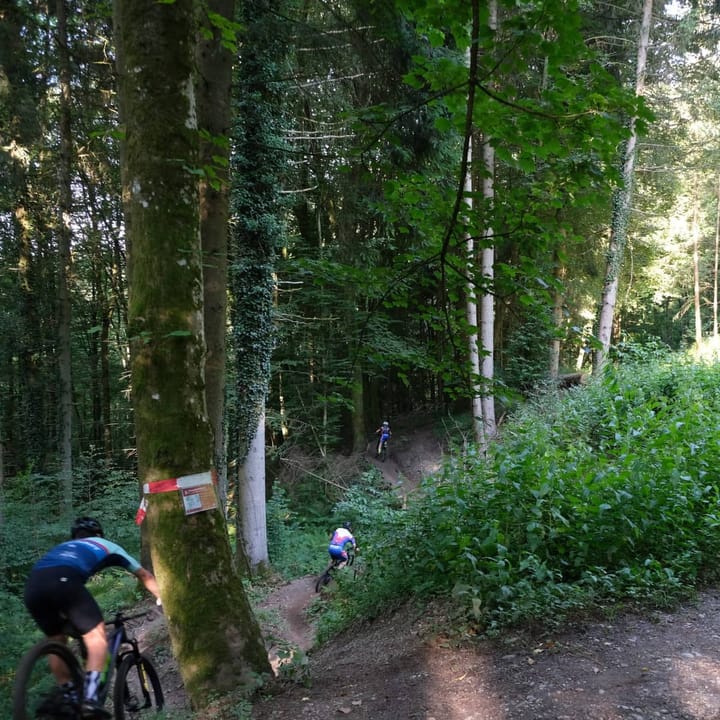 Offizielle Mountainbike-Trails im unteren Suhren- und Wynental eröffnet